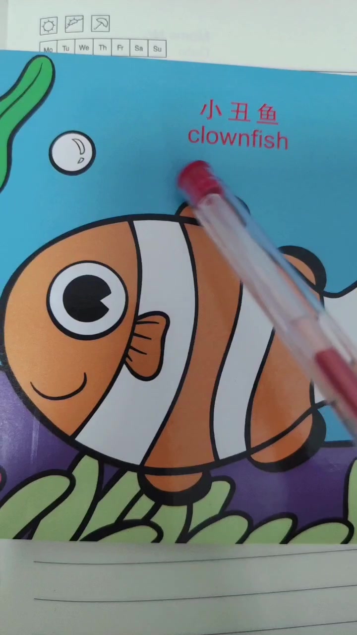 英语单词跟我学,小丑鱼clownfish