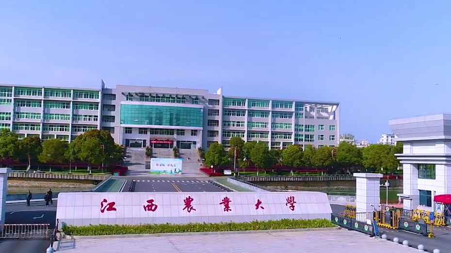 【大地为纸 五谷作画 江西一高校学子画“红船”献礼建党百年】  