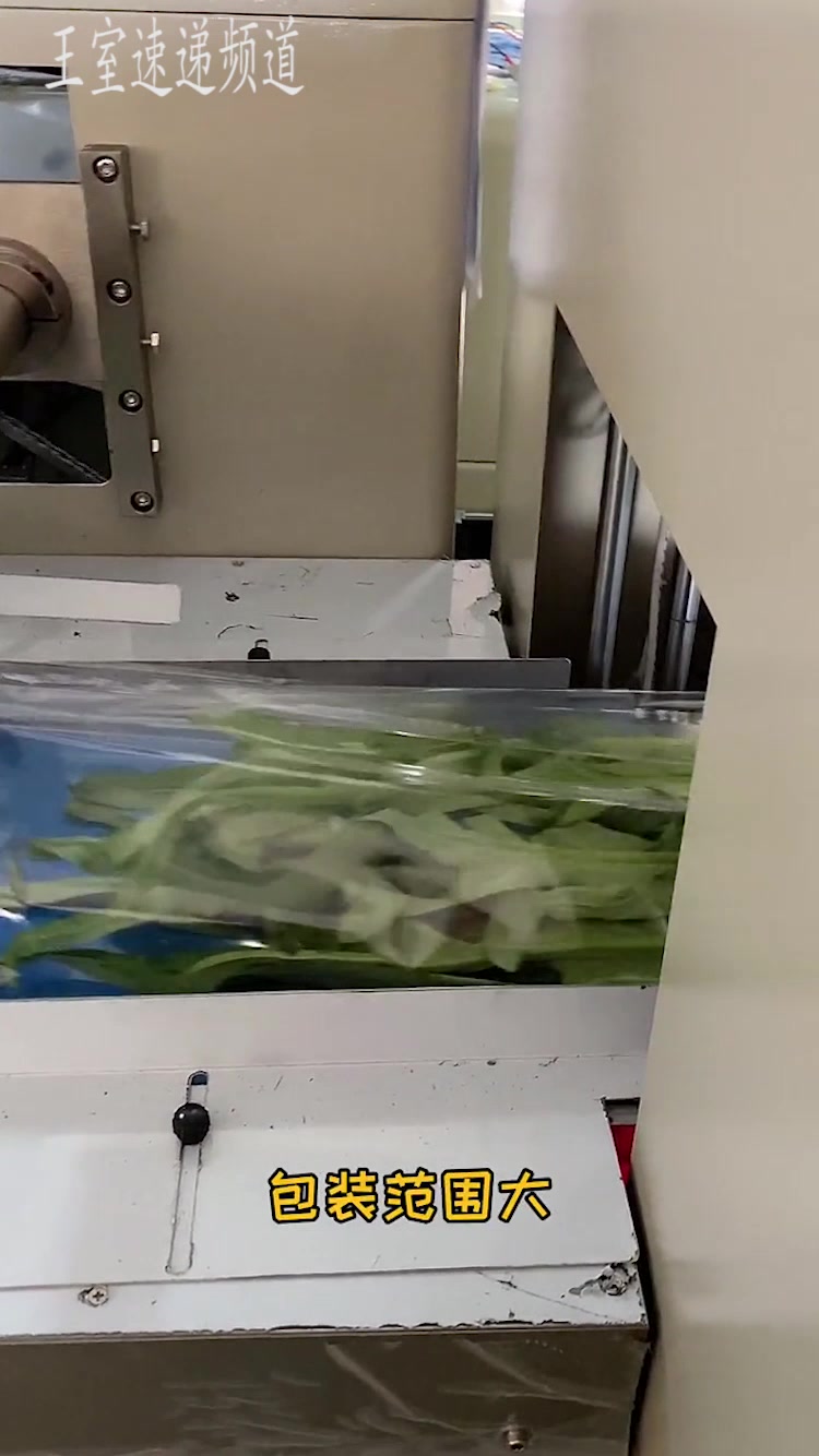 新鲜生蔬菜都是这样包装的,眼前这一幕,真是开了眼!