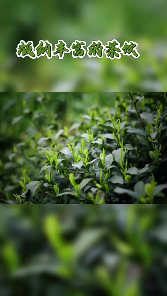 谁说版纳人只喝普洱茶?各民族的饮茶习俗大不相同!