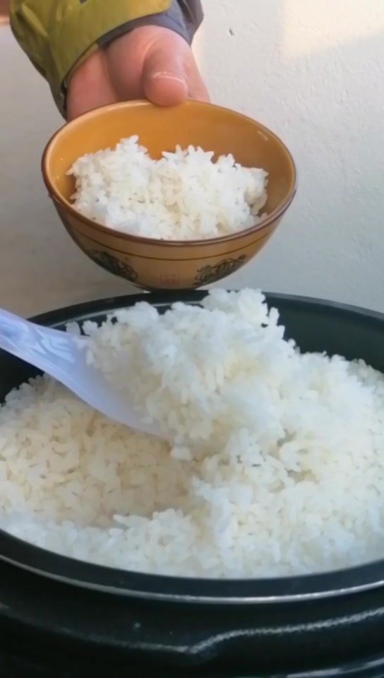 鱼稻米的灵魂伴侣—云上稻鱼米