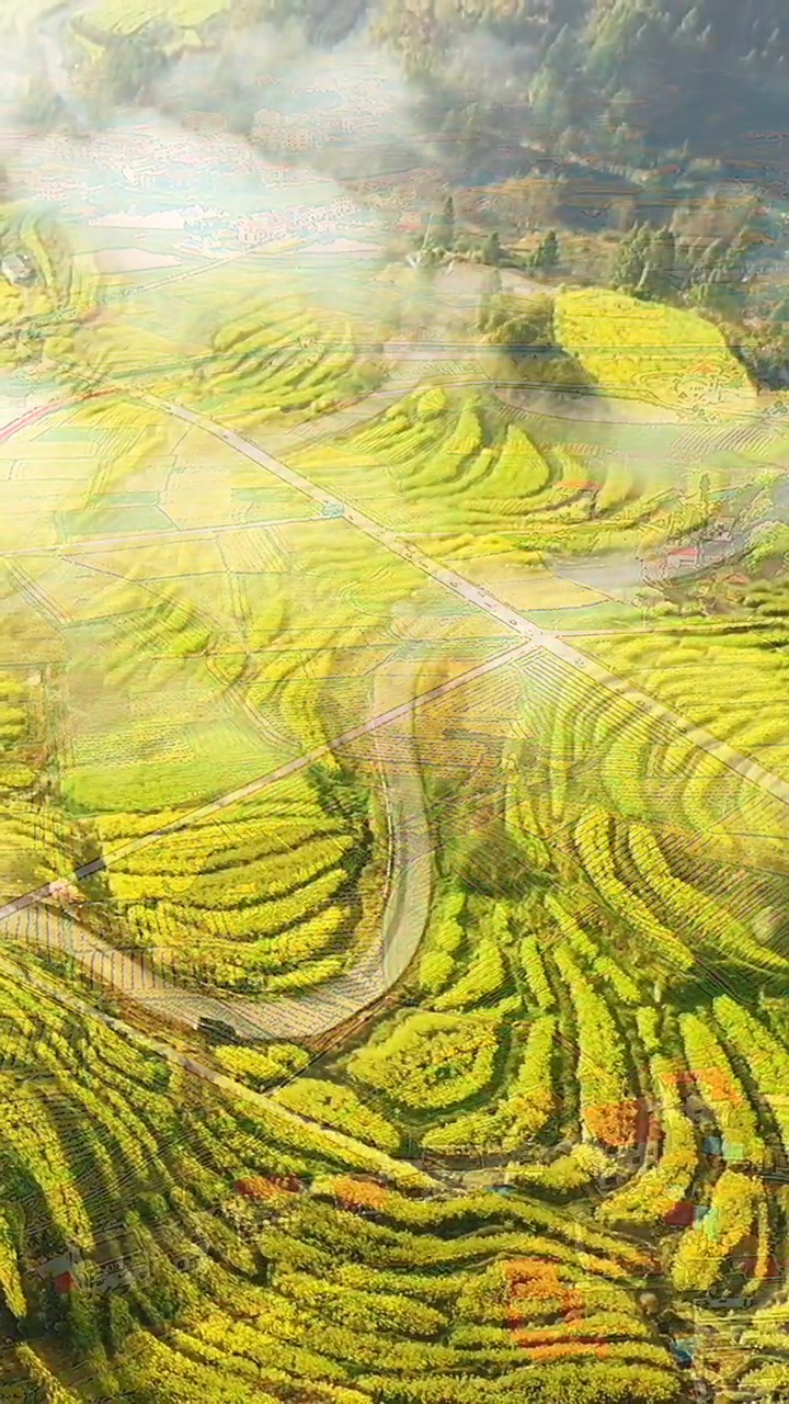 这个春天在四月,爱她就带去看看美丽的油菜花,去中国最美的天堂