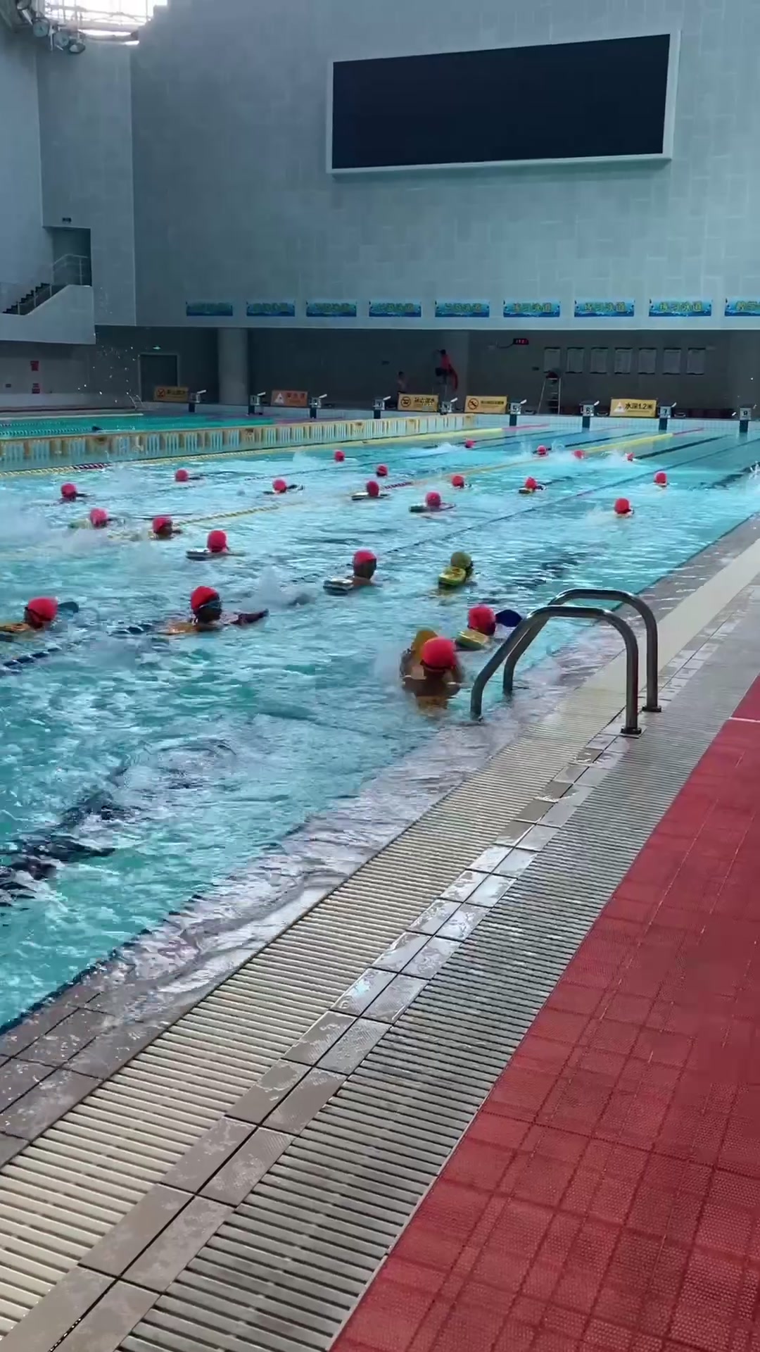 飞鱼乐仔游泳俱乐部