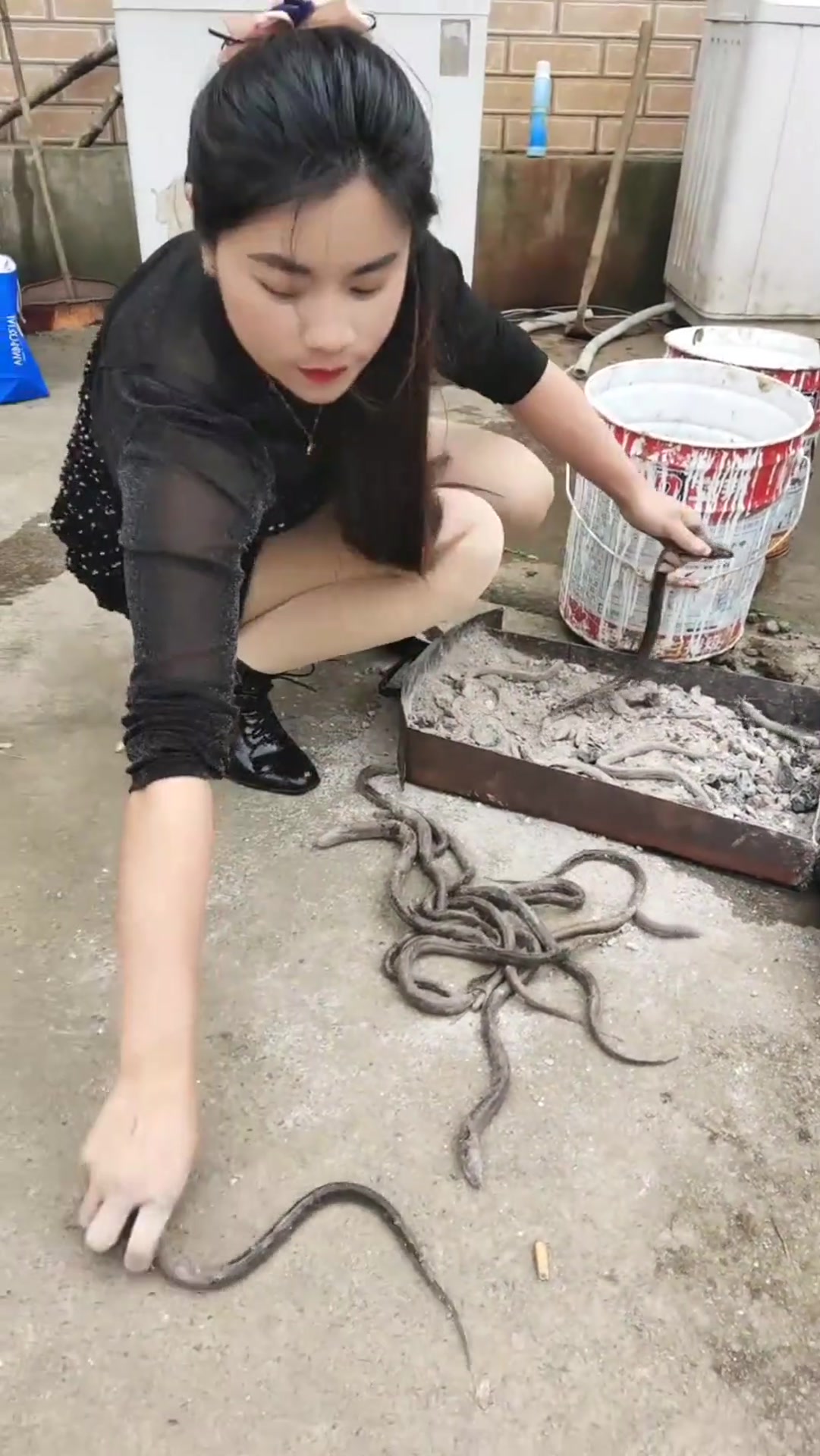 农村女友非得杀鱼招待我,没搞清楚是什么之前,我是不会同意的