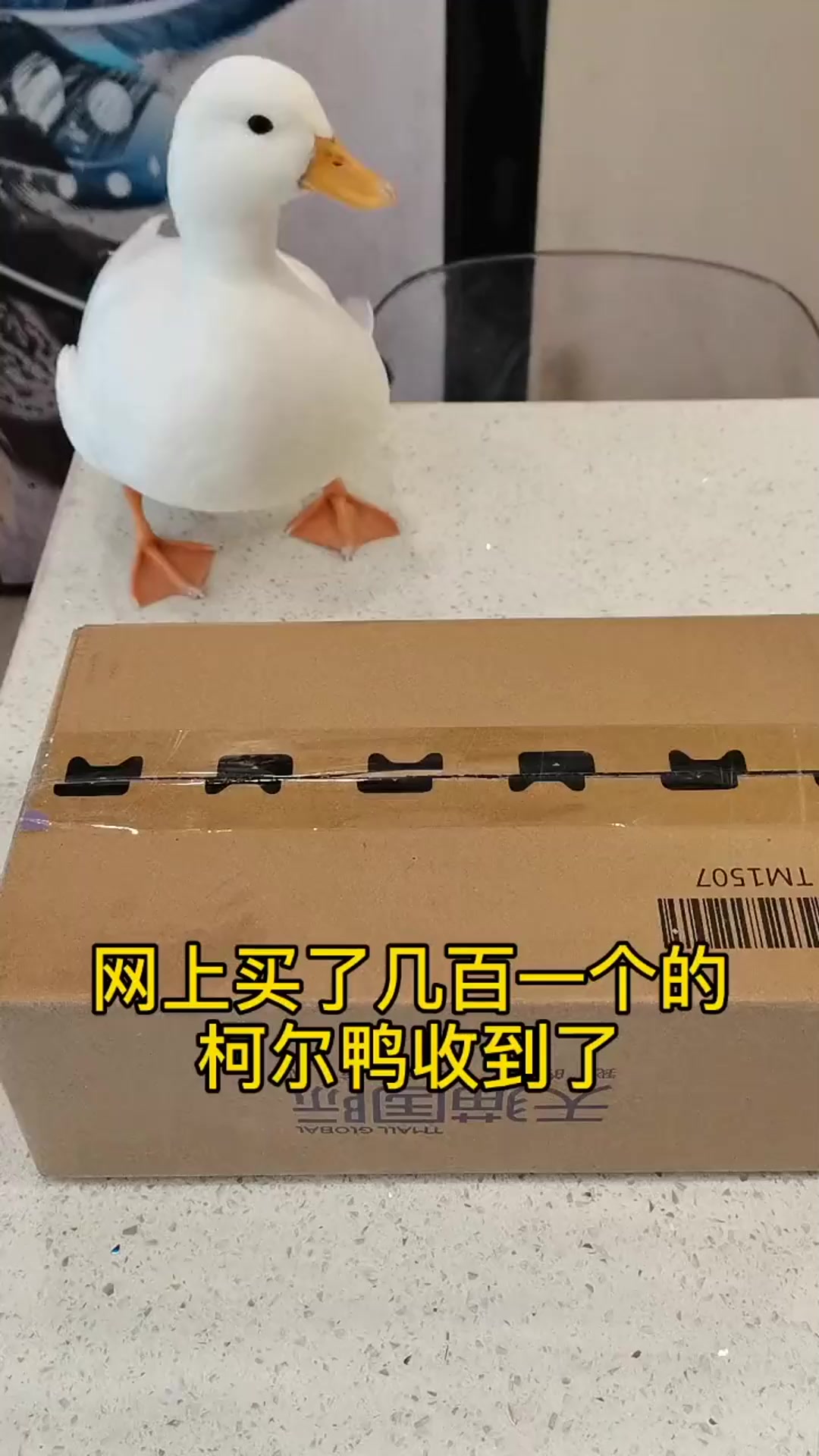 几百元买的鸭蛋,如果能孵化出来鸭子,这次就发了