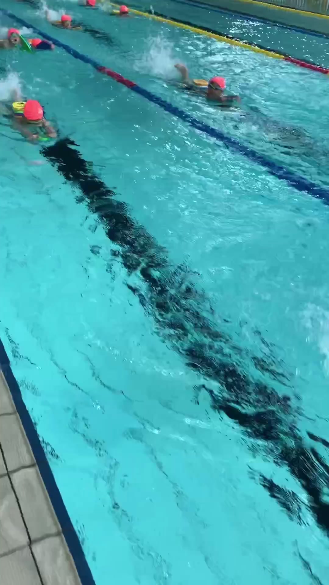 飞鱼乐仔游泳俱乐部