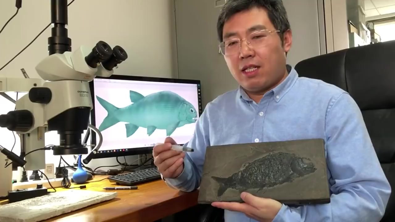 【贵州发现2.44亿年前盘州暴鱼】 4月7日,北京,中国科学院古脊椎动物与古人类研究所徐光
