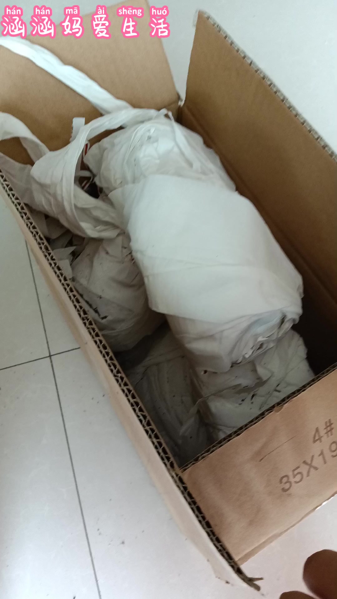 到了一箱多肉都是大老桩,6.6买了6个腿的红司,简直太值啦