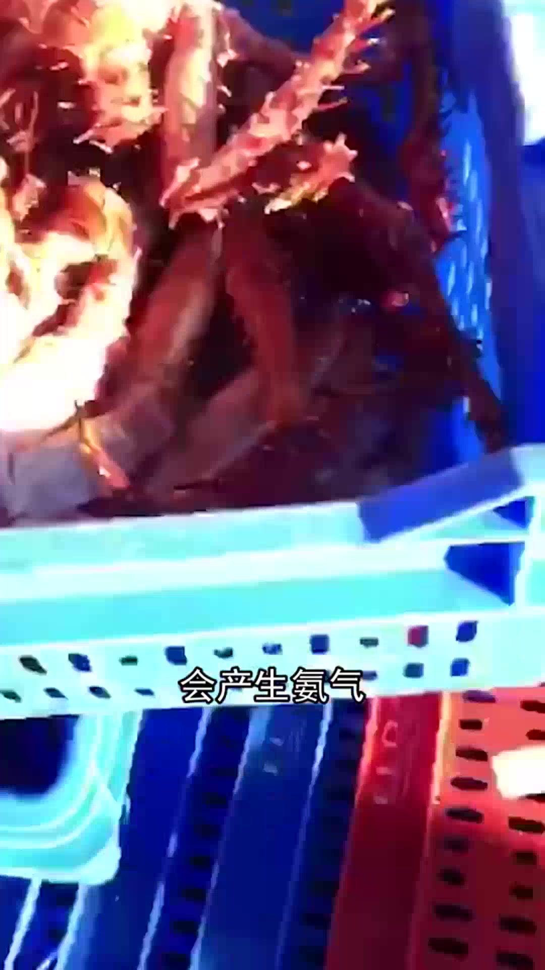 北极海鲜要先煮一下,为了锁住海鲜的美味,再冷冻运输!