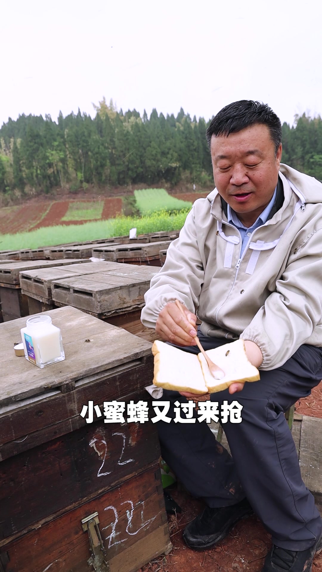 在蜂场吃饭就是方便,饿了直接吃面包蜂蜜