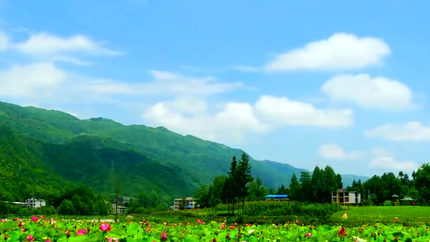 #外交部向全球特别推介湖北# #湖北全球秀#【春天,把利川寄给你!】寄一片梨花,胸怀洁白;