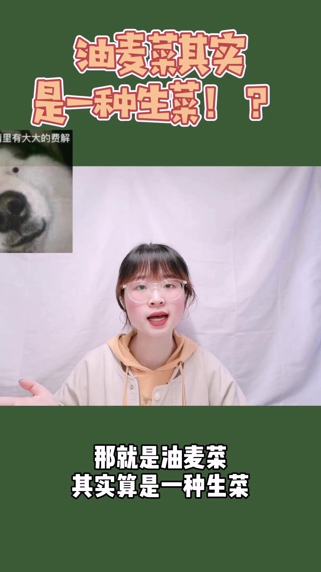 油麦菜其实是一种生菜?