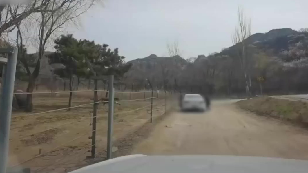 【动物园回应女子猛兽区下车 :事发孟加拉虎园,游客经警告后离开】近日,有网友拍到一名女游客