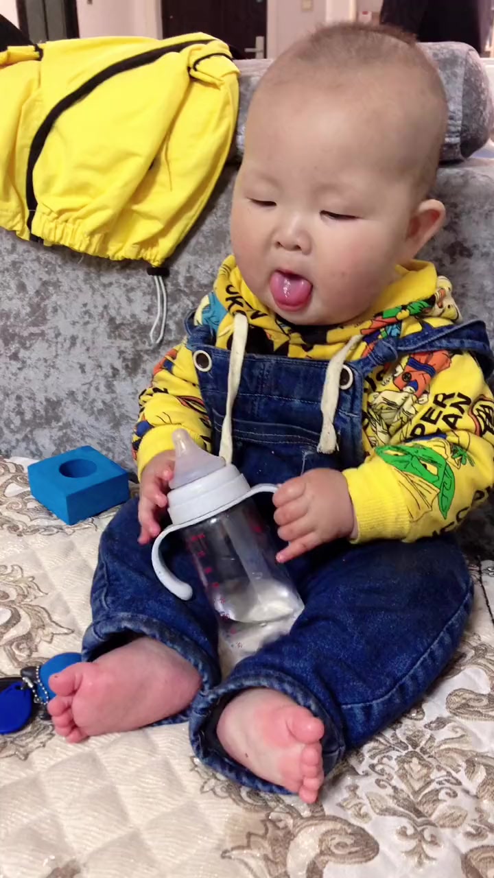 看见什么都要学,今看见狗狗玩球球,就开始在狗的世界自我陶醉