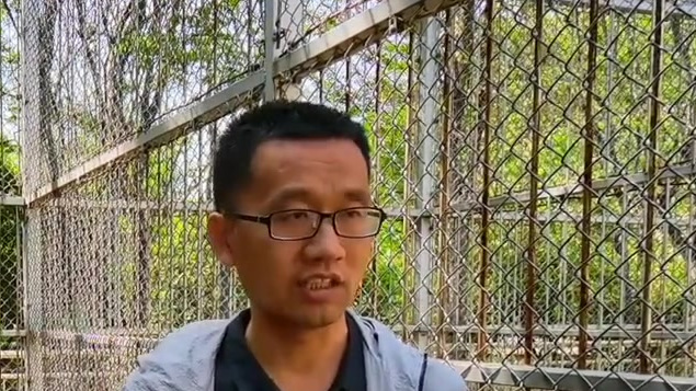 【受伤天鹅空降郑州市中心 它从哪里飞来?】4月14日早上,河南日报报业大厦飞来了一只疣鼻天