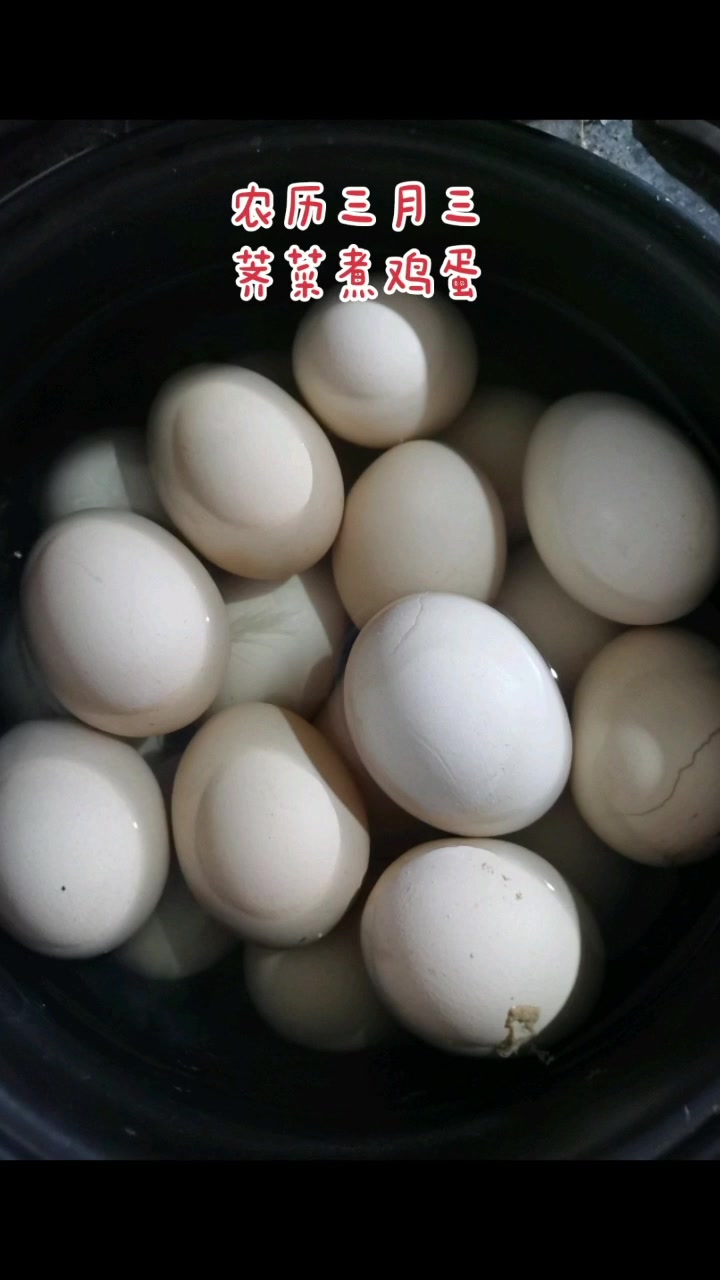 地菜煮鸡蛋,吃了不头昏,你今天吃了吗?