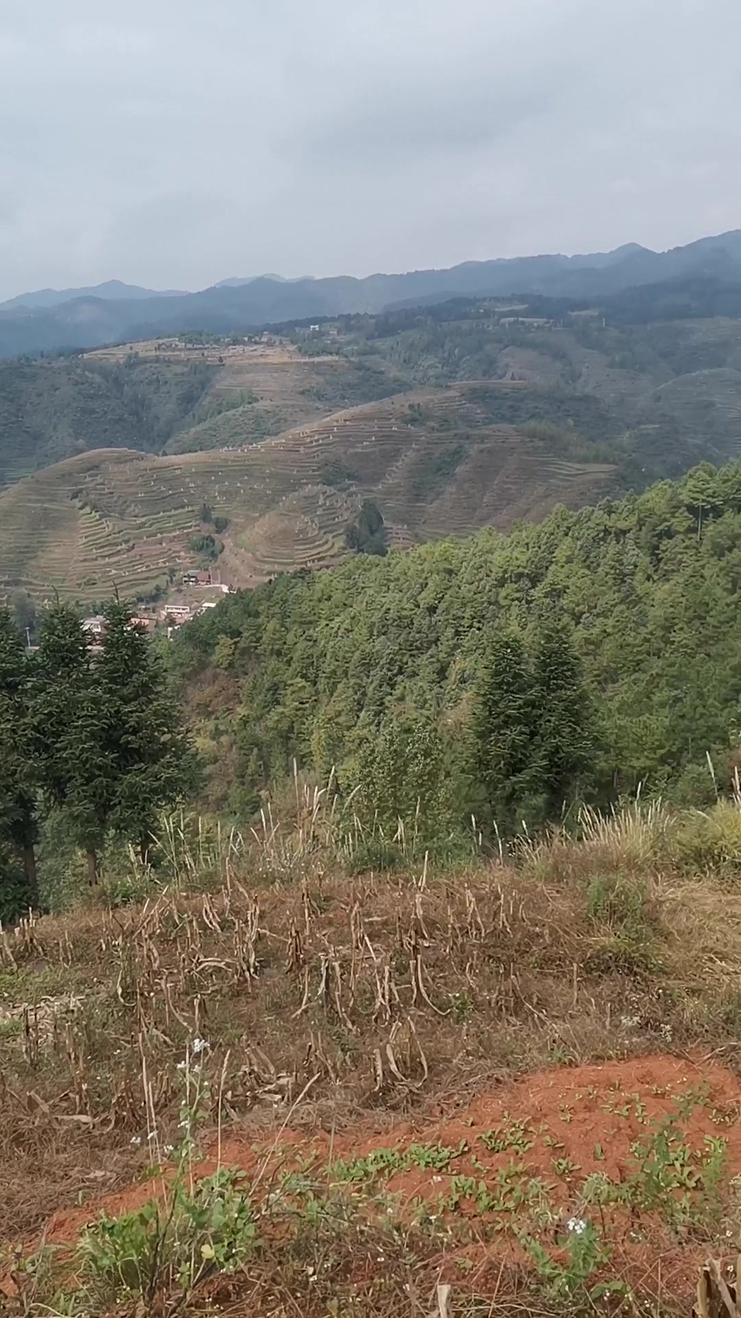发现两个独特的小山包,形如飞鹅抱蛋,这样的地方太难找了
