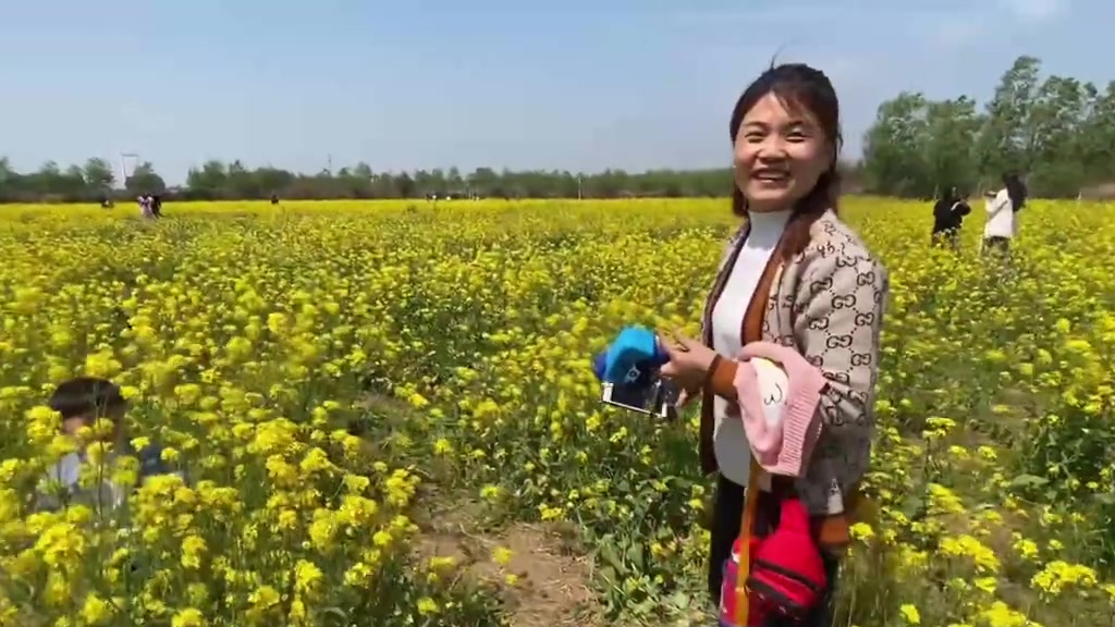 【赏花正当时!济南油菜花基地成春日网红】随着天气越来越暖,位于济南市济齐路与013乡道交汇