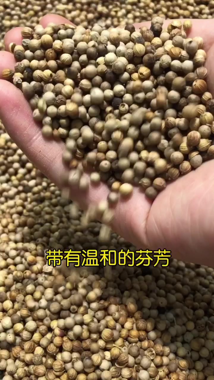 香菜籽,一种常用香料,香菜的果实,一般一百斤卤水使用五十克左