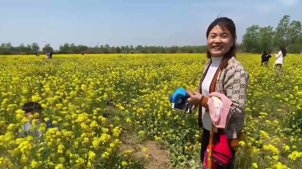 济南百亩油菜花遍地金黄【赏花正当时!济南油菜花基地成春日网红】随着天气越来越暖,位于济南市