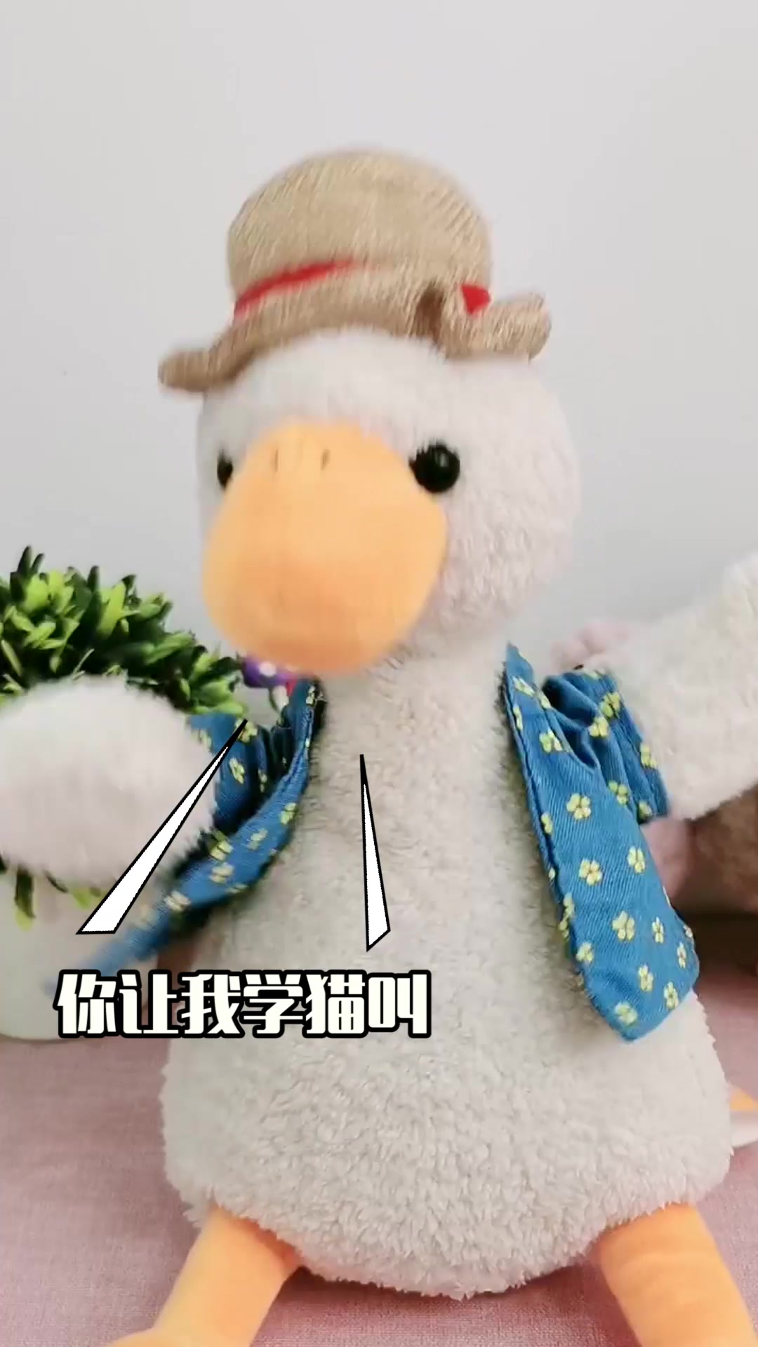 这只鸭子不一般,你们有什么方法能赢它吗?!