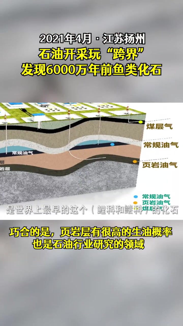 千万年前的鱼长啥样?江苏油田发现6000万年前鱼化石