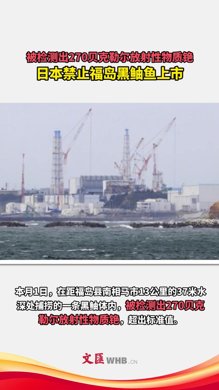 被检测出270贝克勒尔放射性物质铯,日本禁止福岛黑鲉鱼上市