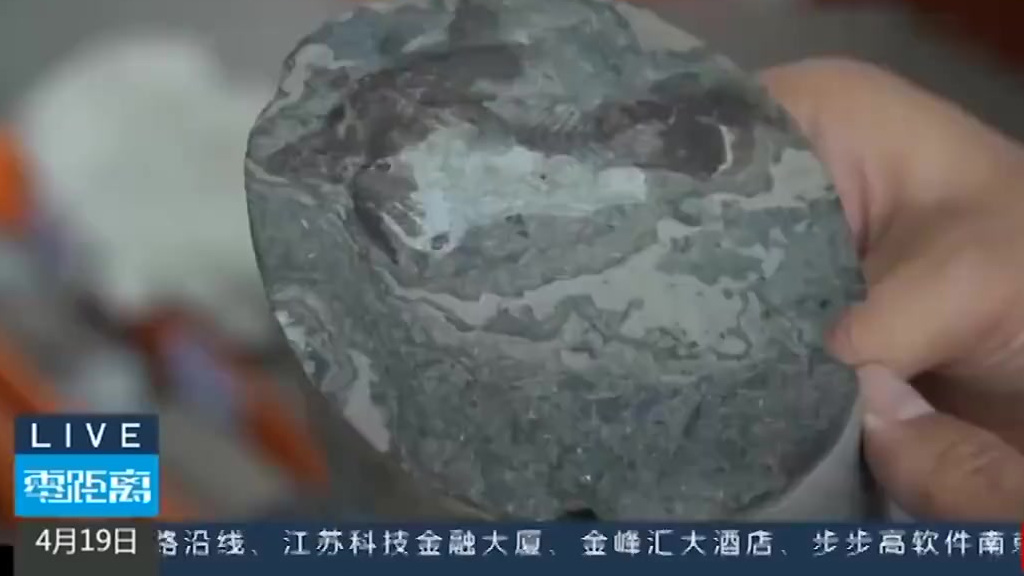 【江苏油田发现6000万岁鱼化石】最近,江苏油田的研究人员在两块钻井取出的岩心样本中,发现