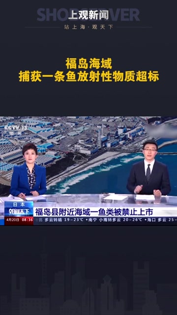 4月19日,因放射性物质超标,日本禁止福岛黑鲉鱼上市。据日媒,本月1日 福岛海域发现一条鱼