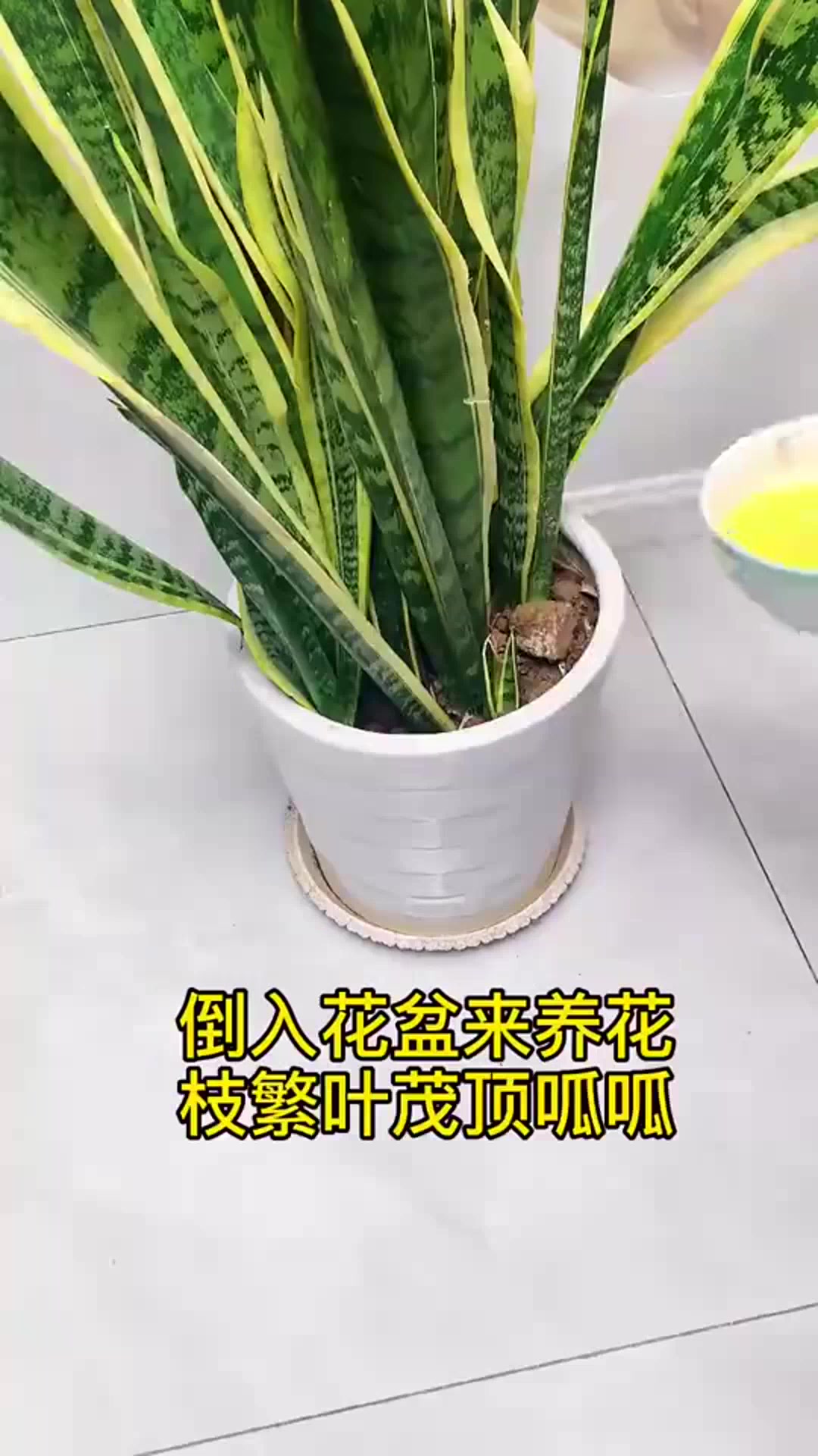生活小妙招:过期鸡蛋不要扔,还可以这样利用