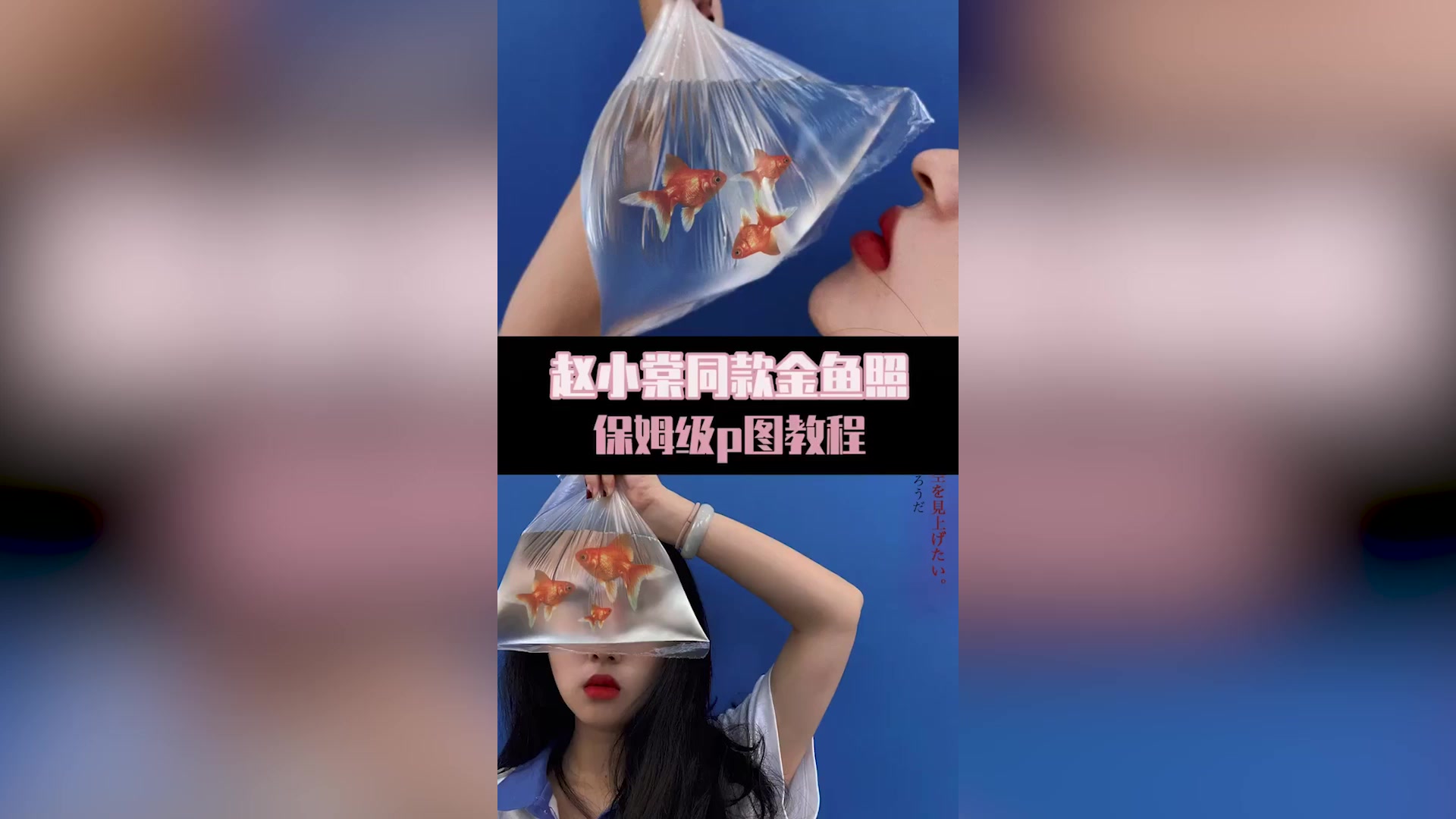 赵小棠同款金鱼照,保姆级p图教程