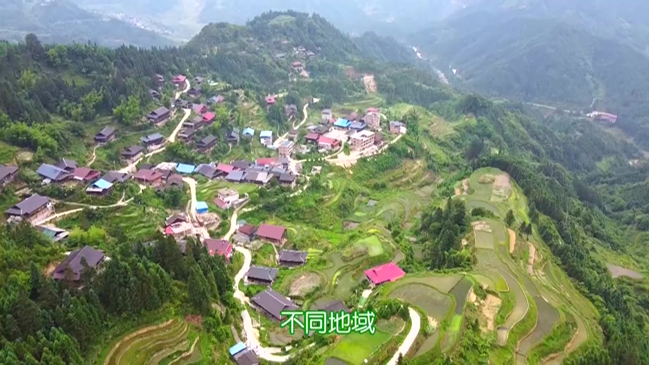 #广西美食# 【百岁爷爷身强体健,秘方竟是“黑暗料理”[惊哭][惊哭]】养生“牛瘪”汤是大