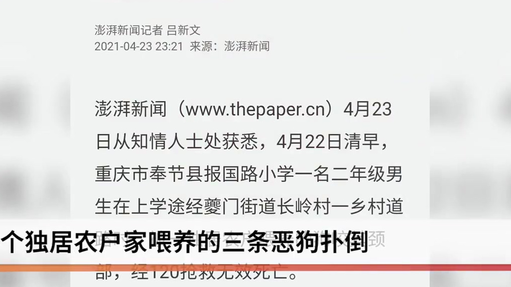 【8岁男孩上学途中被狗咬伤身亡  事件尚在后续处置中】4月22日清晨6点过,重庆奉节县报国