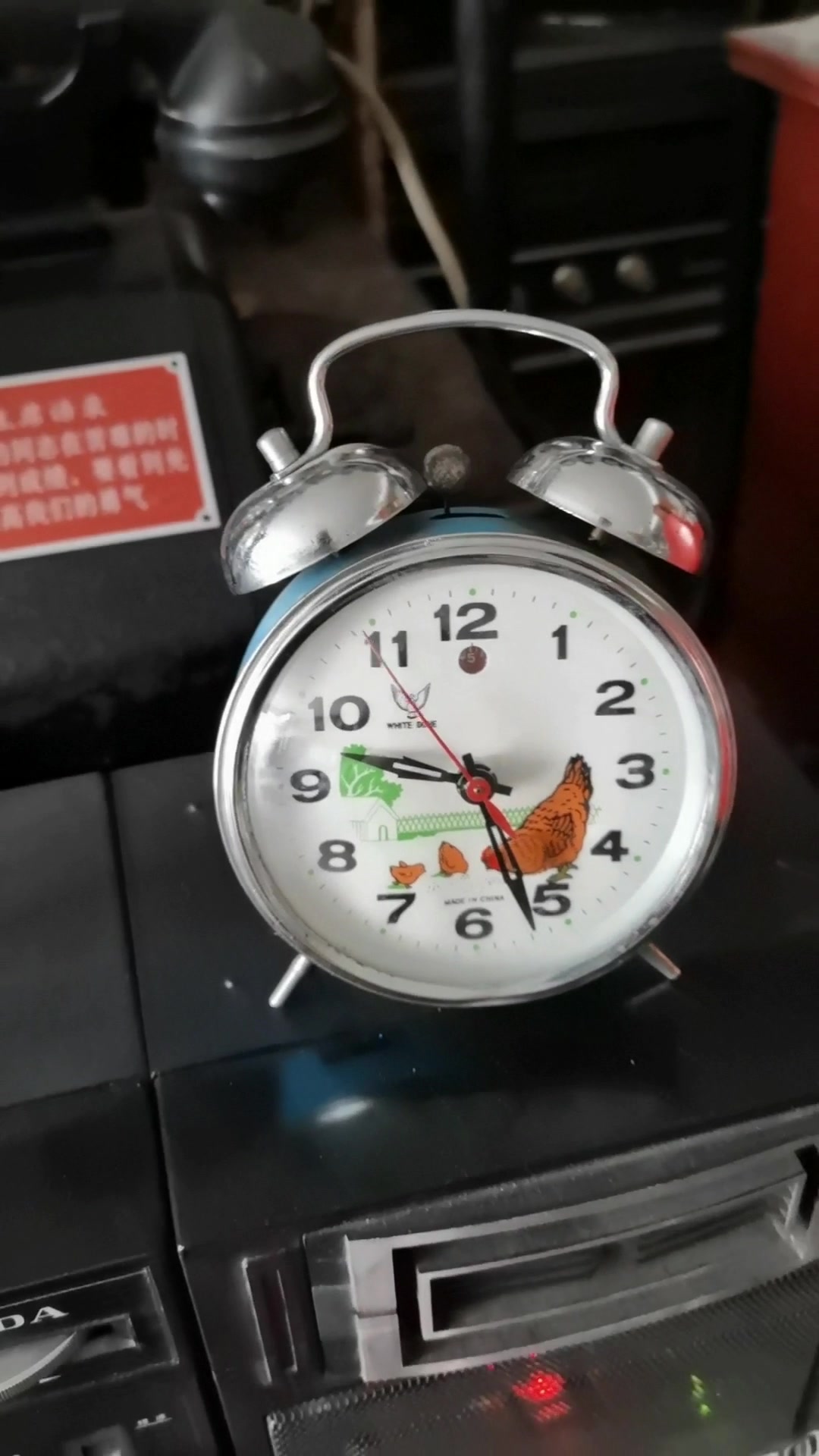 白鸽牌小鸡吃米小闹钟!
