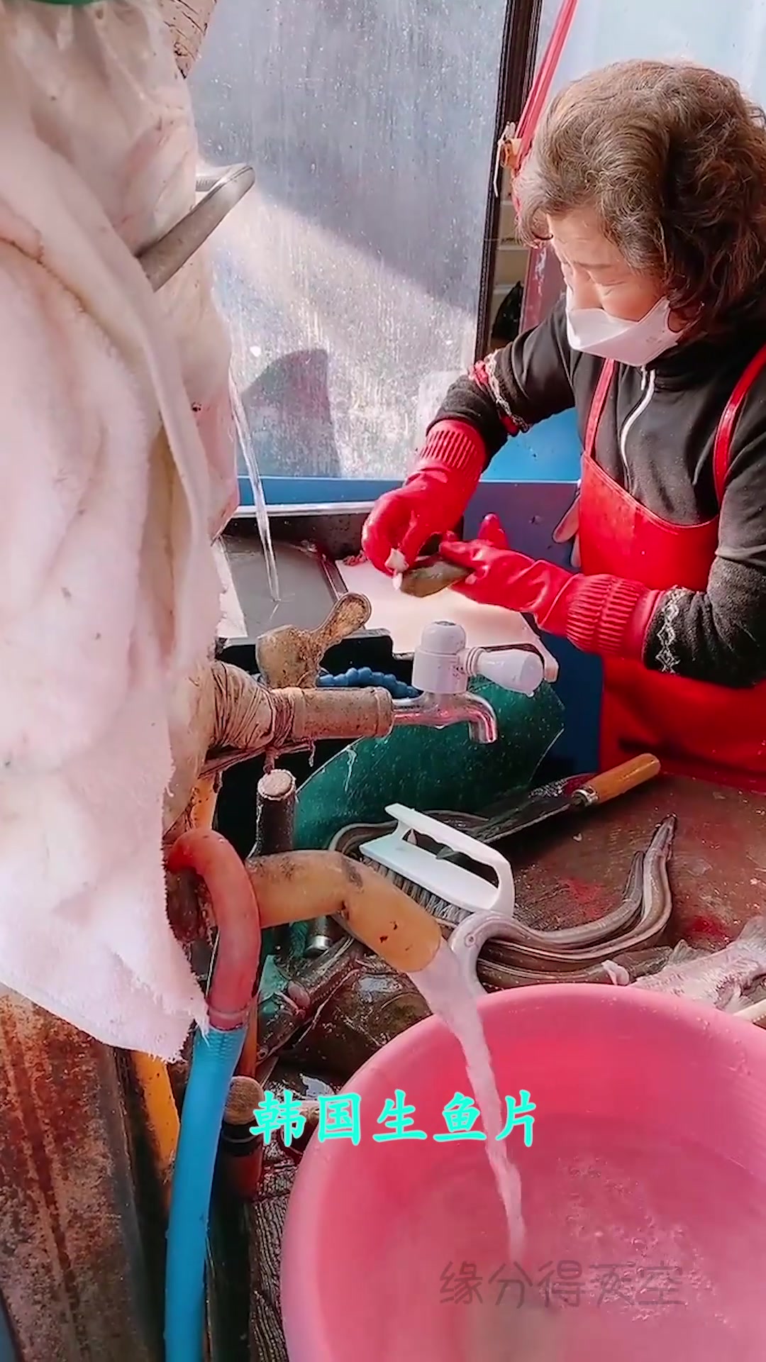 韩国人对生鱼片有多热爱?天天都要吃,网友:这玩意我都咽不下去