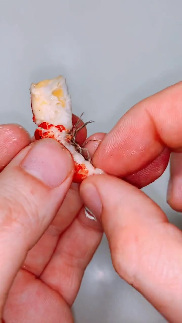 再馋也不要吃小龙虾身上的这个部位,一定记住了!