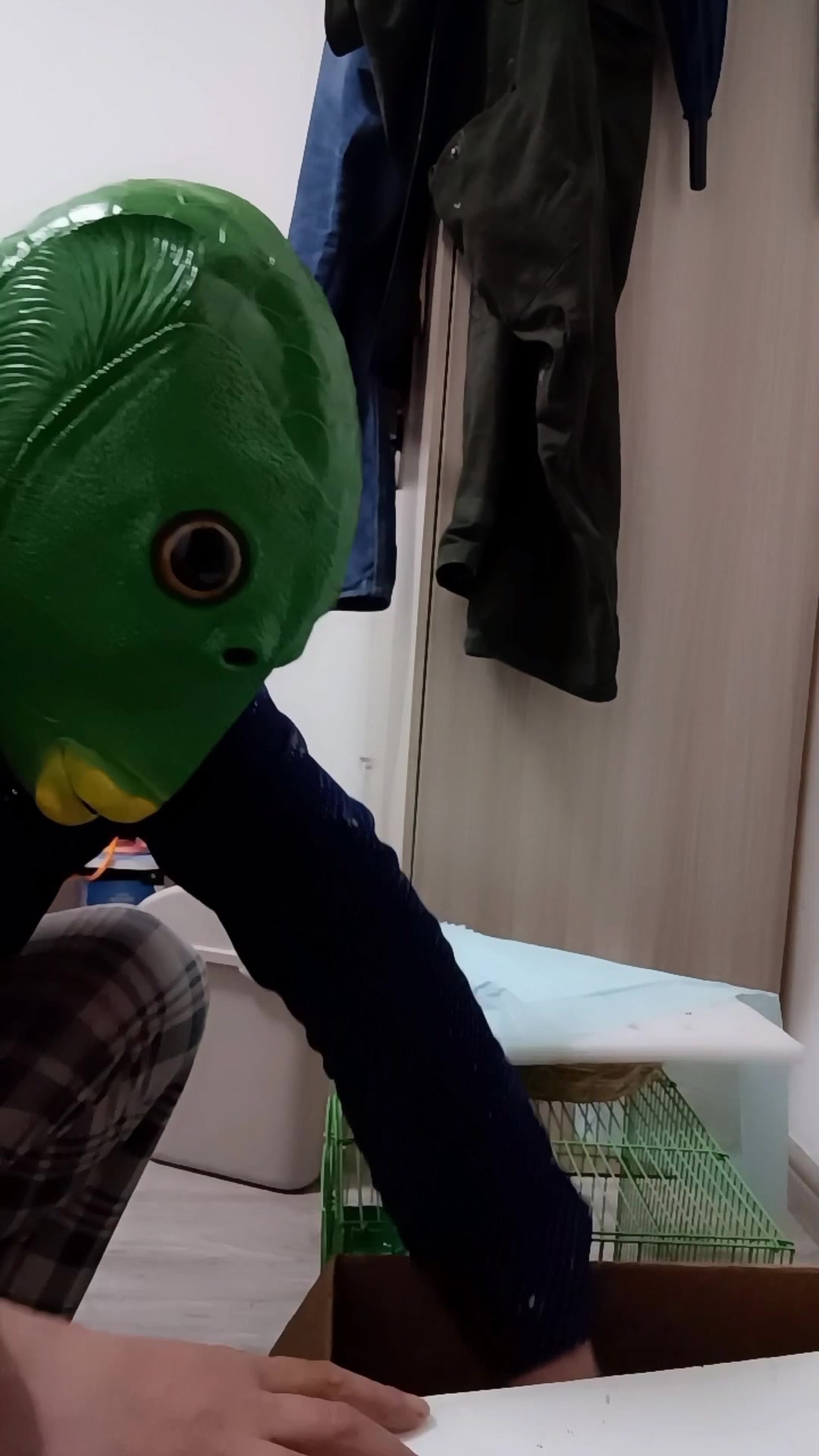 绿皮鱼头恶搞鸭子,鸭子的反映居然会这样……