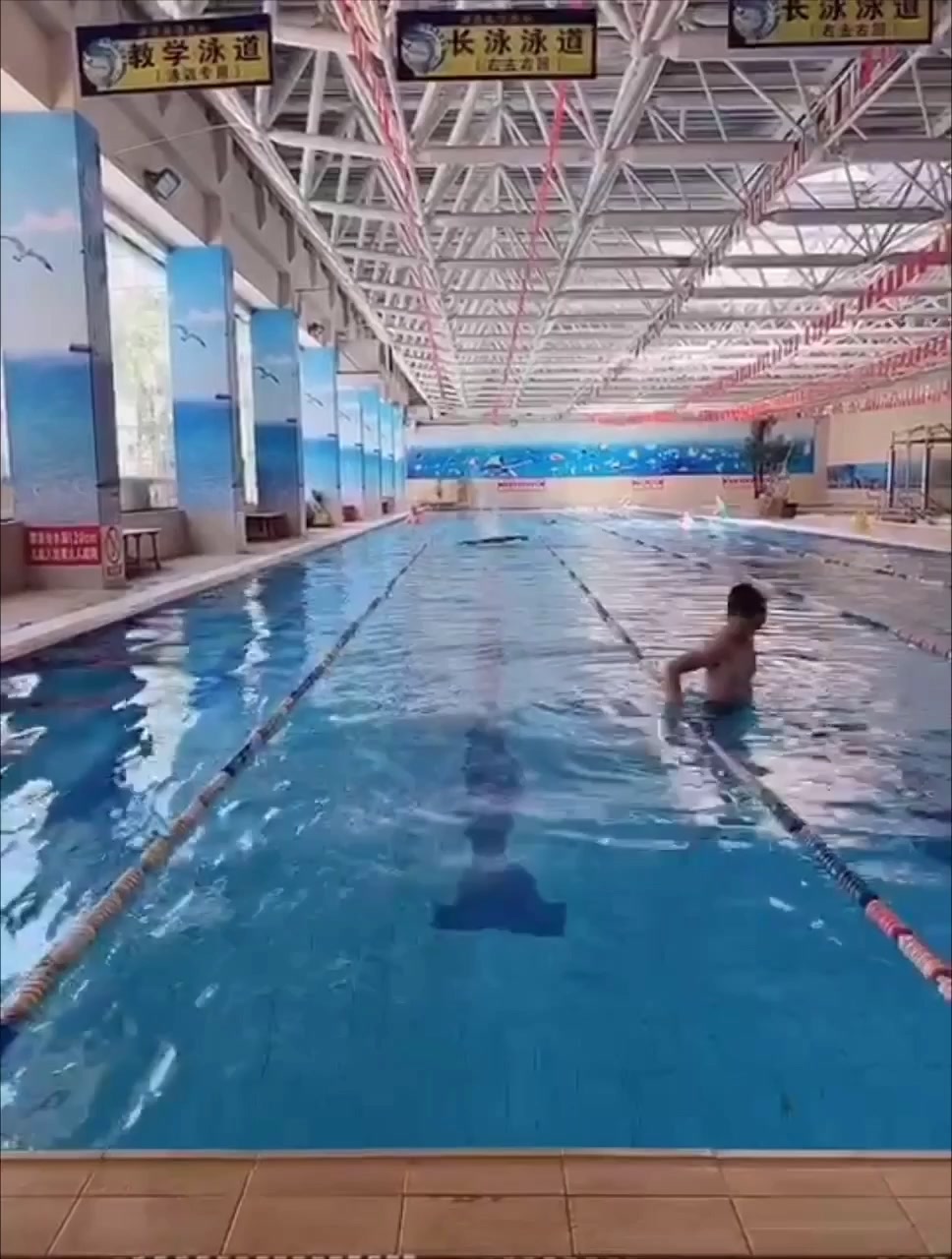 飞鱼乐仔游泳俱乐部