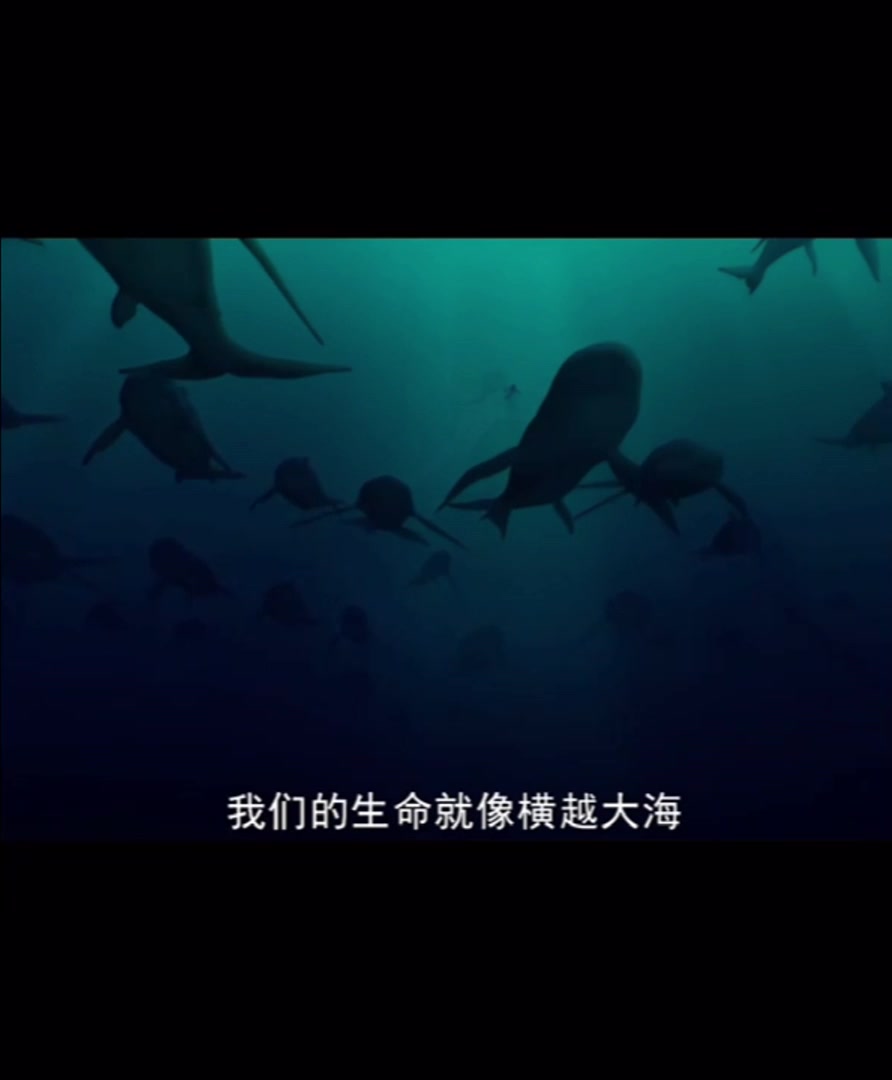 大鱼海棠  唯美动画国漫