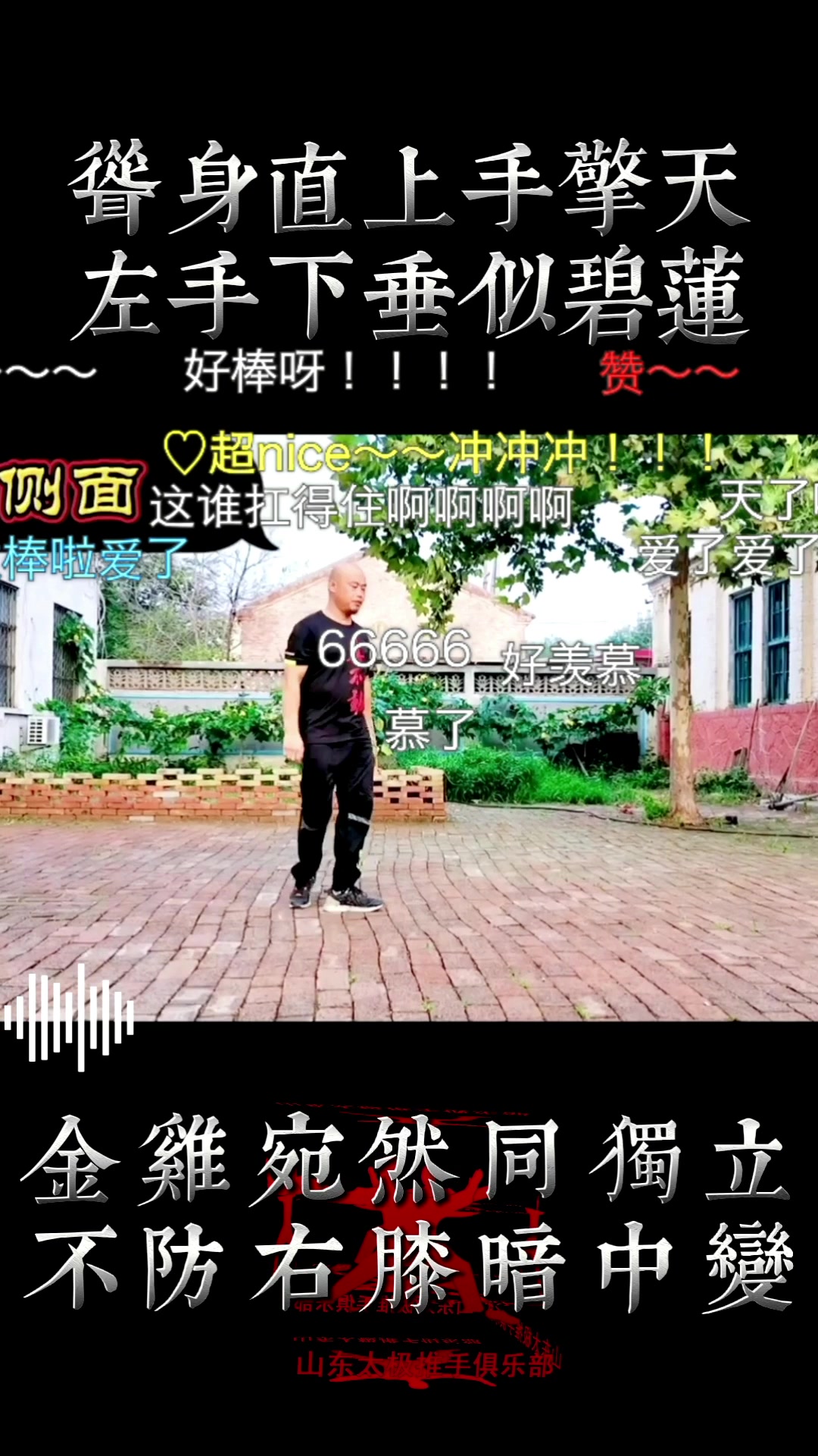 金鸡独立功效  山东太极推手俱乐部 滨州太极拳视频