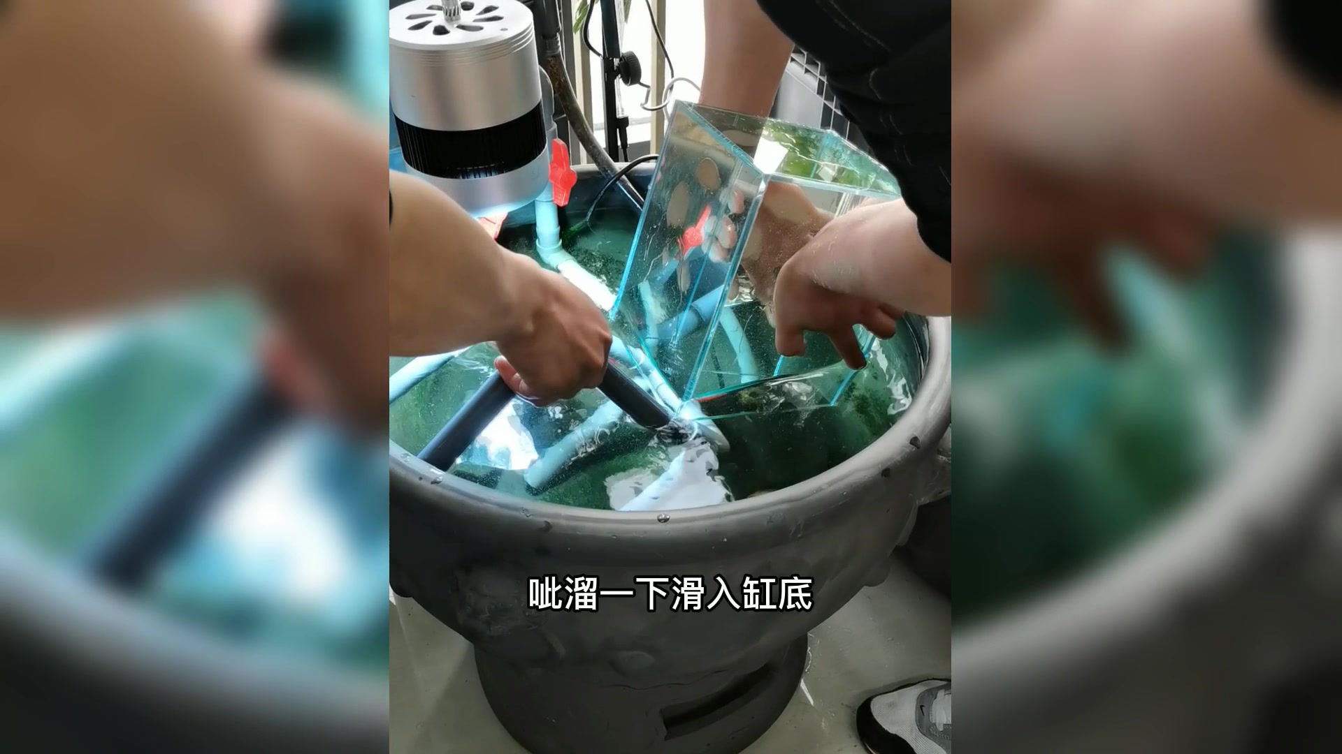 负压鱼缸又来喽,换一个视角,换一个方法