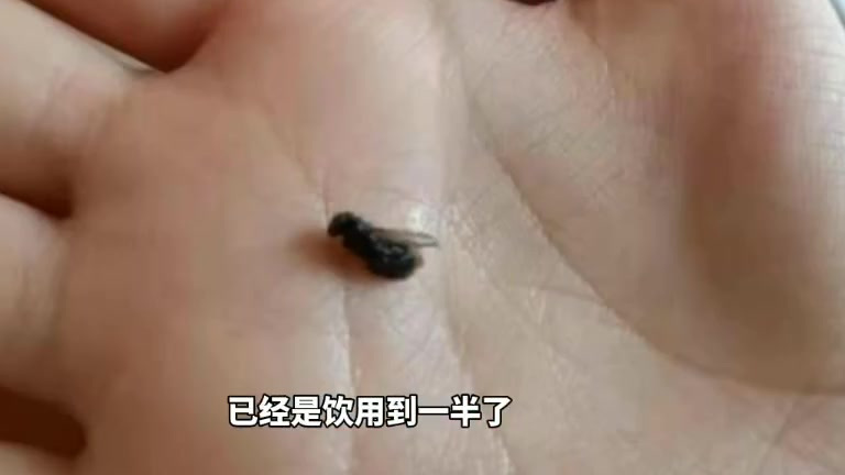 【女子一点点奶茶喝出苍蝇,当事人:以为是珍珠一口咬下去 】5月5日,福建一顾客在外卖平台上
