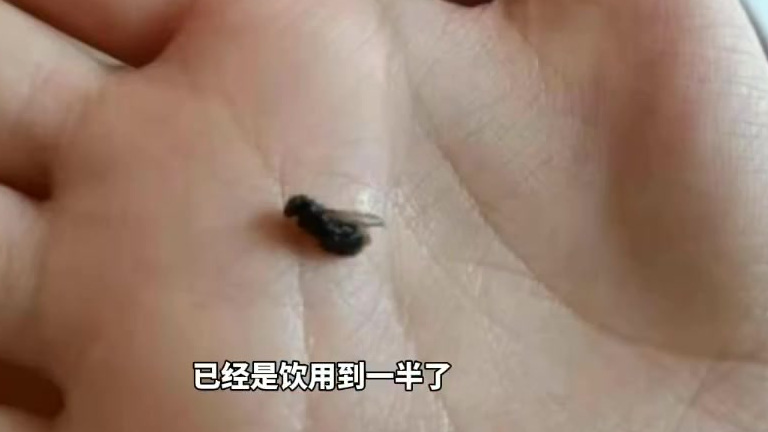 【女子一点点奶茶喝出苍蝇,当事人:以为是珍珠一口咬下去 】5月5日,福建一顾客在外卖平台上