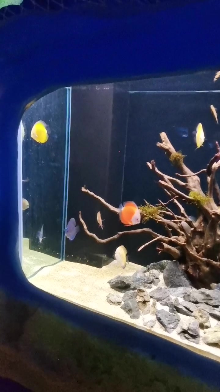 这是宝鸡人的海洋馆
