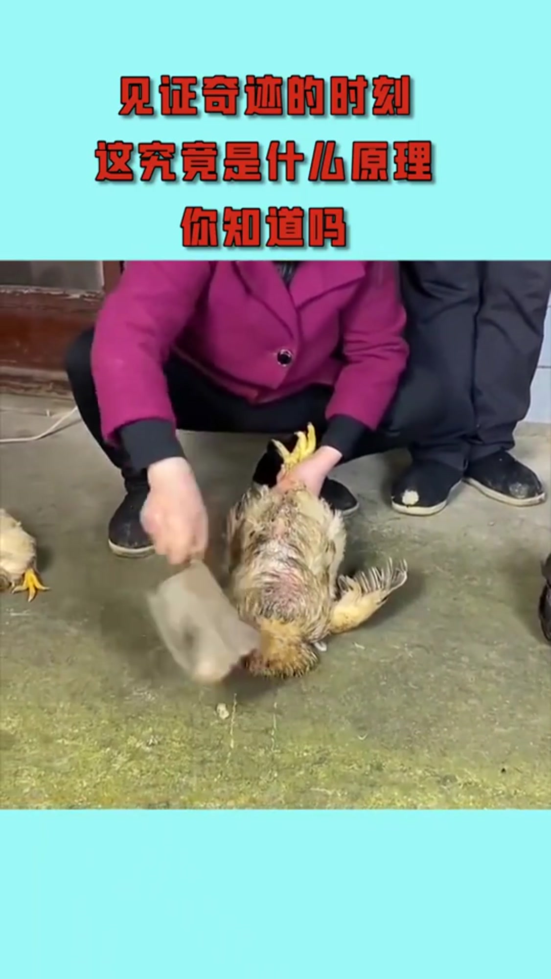 见证奇迹的时刻,这究竟是什么原理,你知道吗?(1)