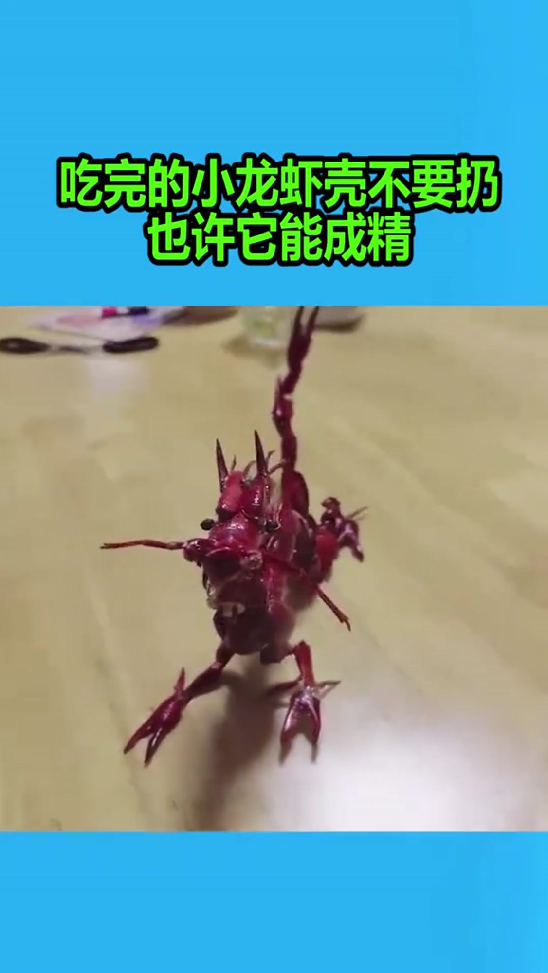 吃完的小龙虾壳不要扔,也许它能成精