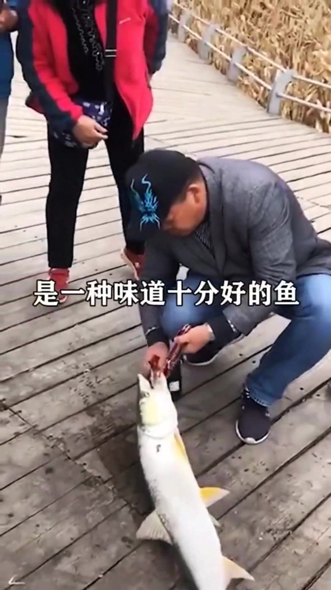 我国“最惨”的鱼,因味道太好被吃到濒危,价格飙升至180元一斤