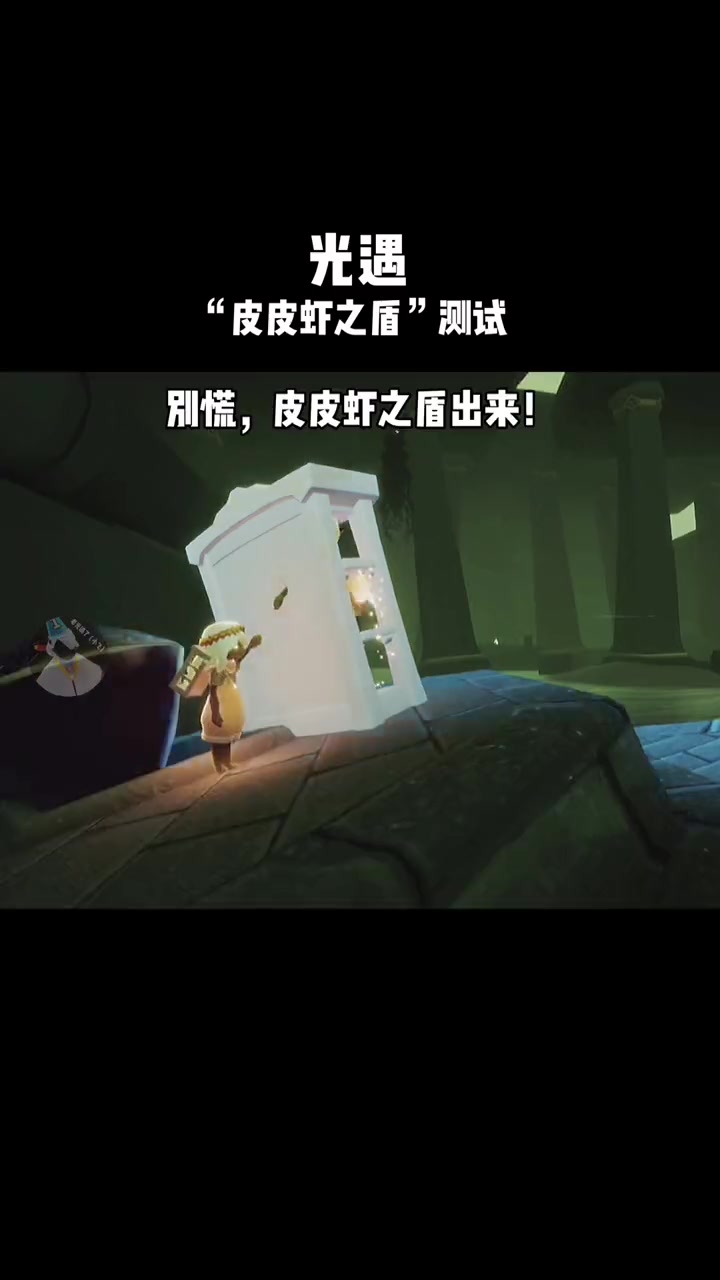 光遇:真皮皮虾之盾!!亲测有效!(储物柜用途)。
