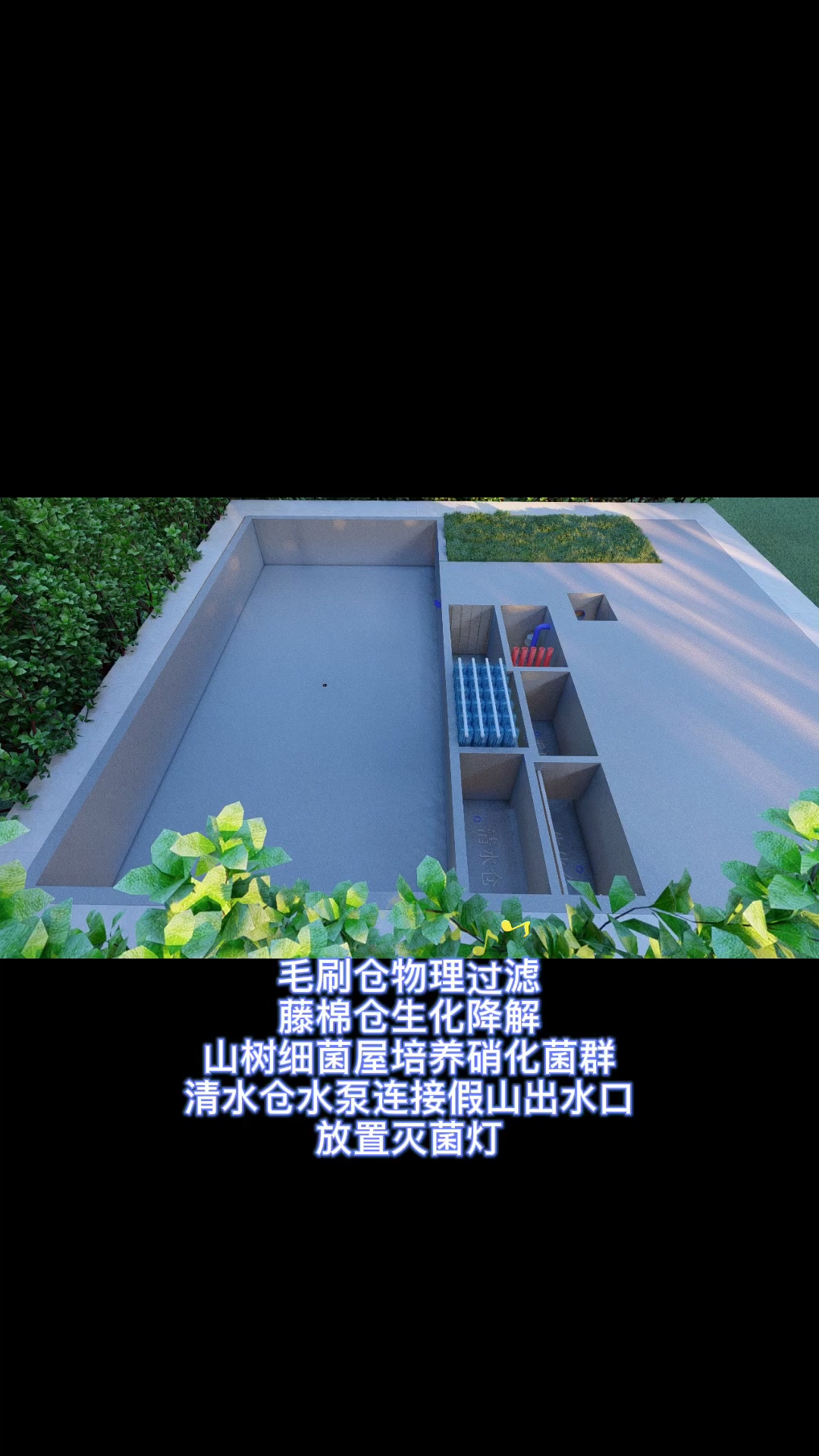 讲究的鱼池到底应该怎么做?