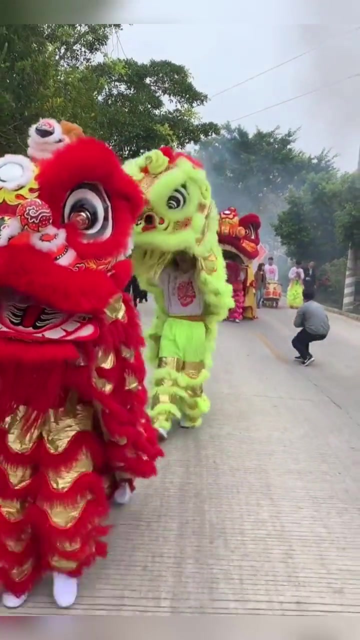好多年没见舞狮子的了,狮子还分颜色,金狮和红狮有什么说法吗?
